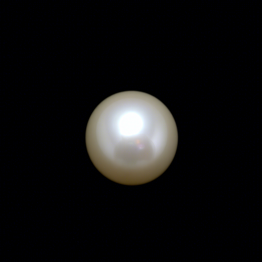 Bahrain Lab Certified Natural Pearl Gemstone Loose 2.22 Carats