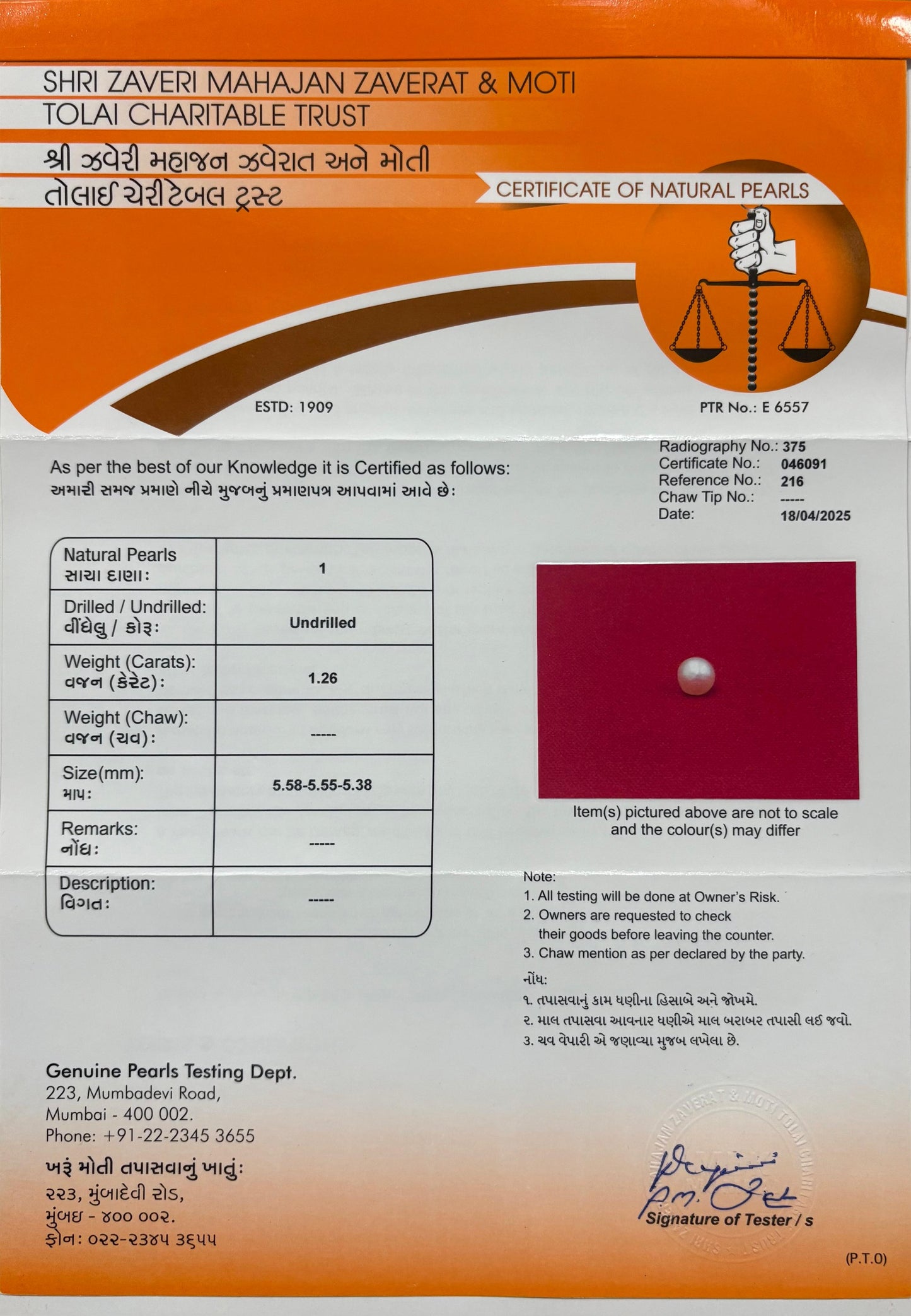 Real pearl 1.26 carat